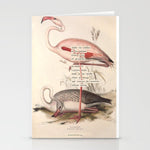 Bird Divinations: Flamingo (about: almanacofbirds.org) Stationery Card Gallery Image 1