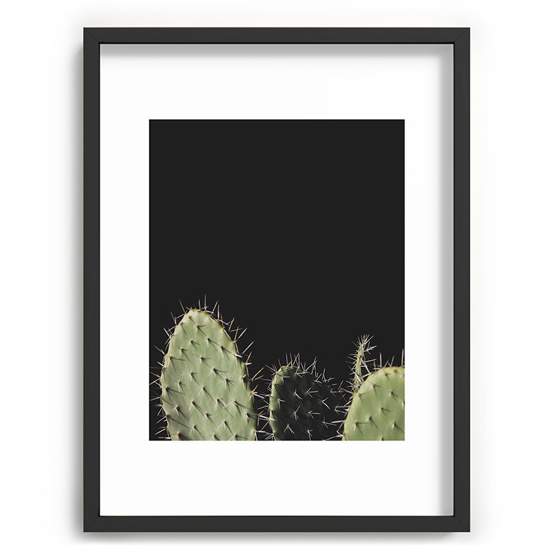 Cactus Framed Art Print Gallery Image 61