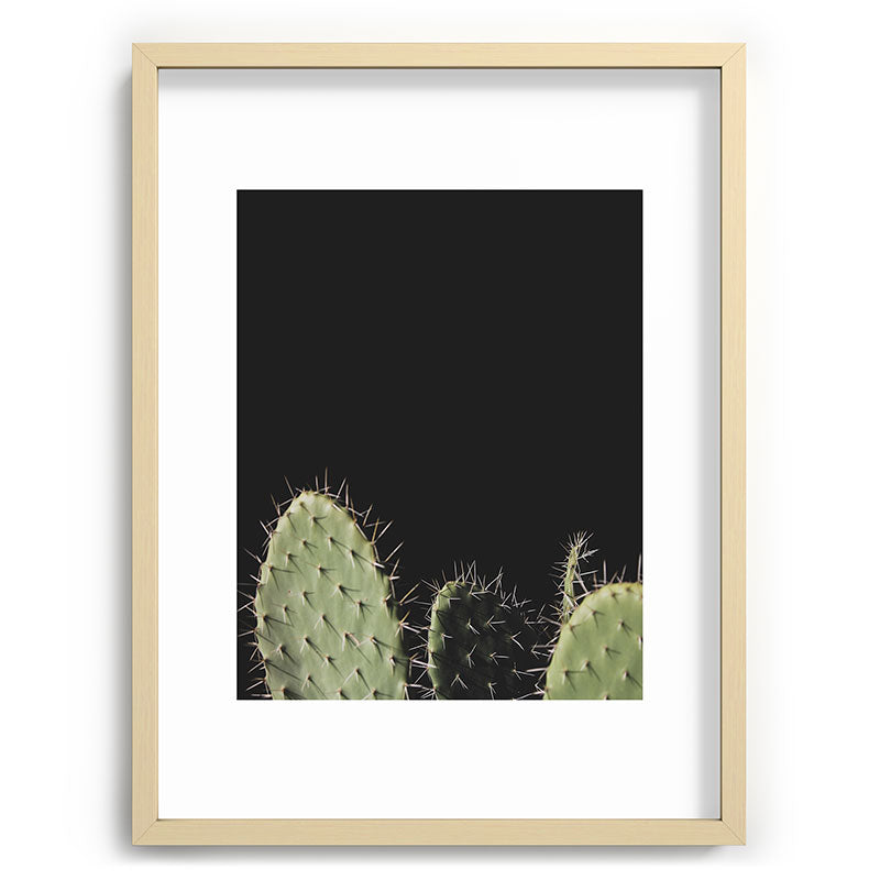 Cactus Framed Art Print Gallery Image 72