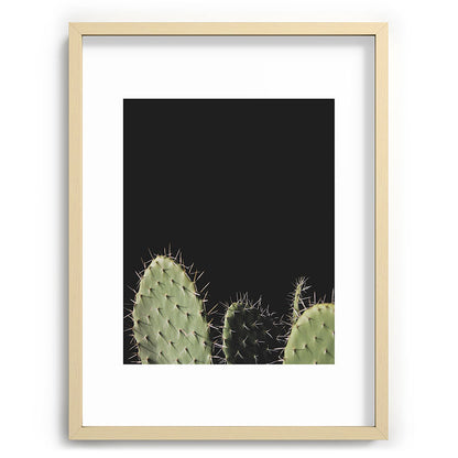 Cactus Framed Art Print Gallery Image 73