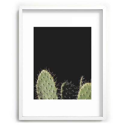Cactus Framed Art Print Gallery Image 79
