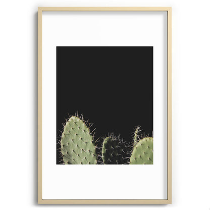 Cactus Framed Art Print Gallery Image 74