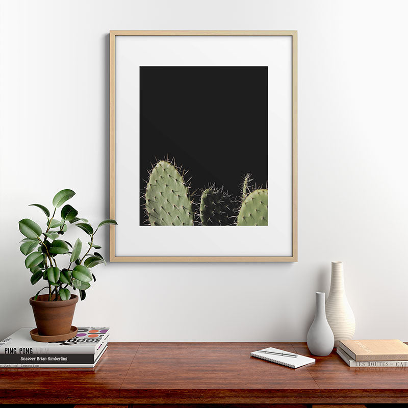 Cactus Framed Art Print Gallery Image 21
