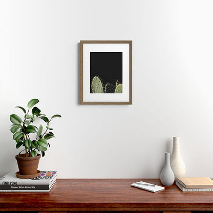 Cactus Framed Art Print Gallery Image 11