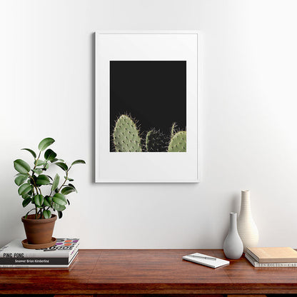 Cactus Framed Art Print Gallery Image 27