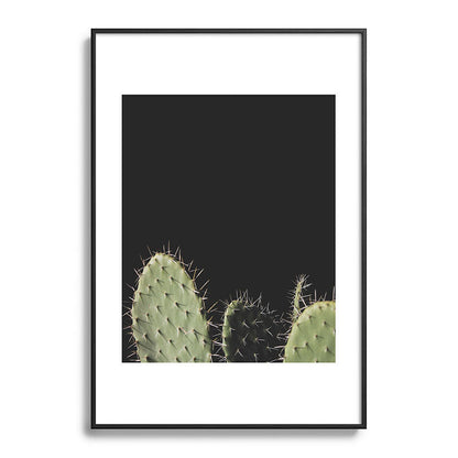 Cactus Framed Art Print Gallery Image 83