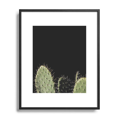 Cactus Framed Art Print Gallery Image 82
