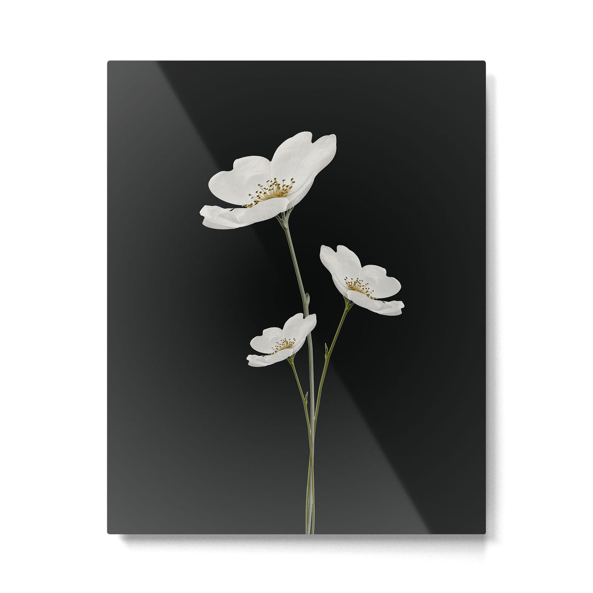 Flowers 5 Metal Print Gallery Image 2