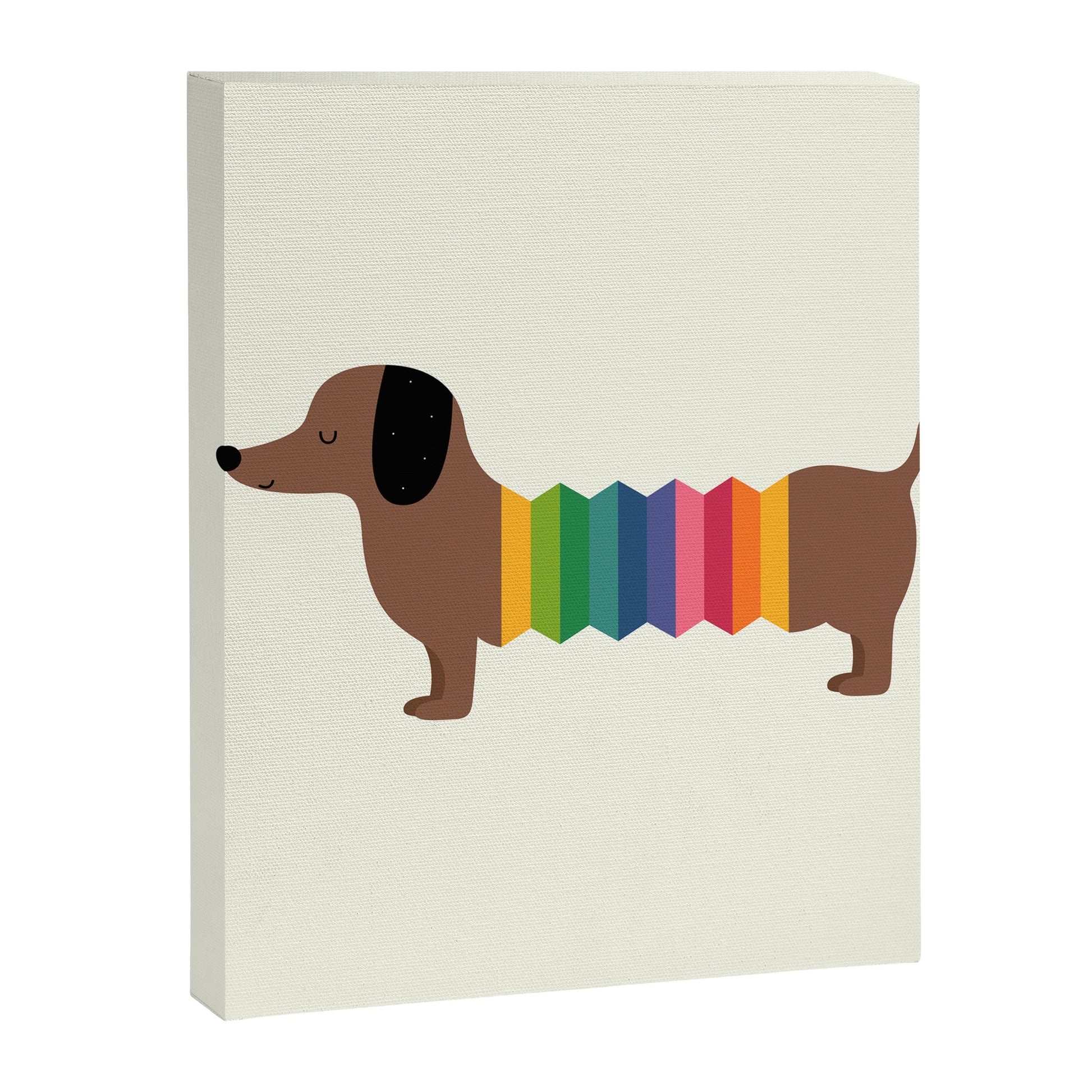Rainbow Dooooog Canvas Print Gallery Image 3