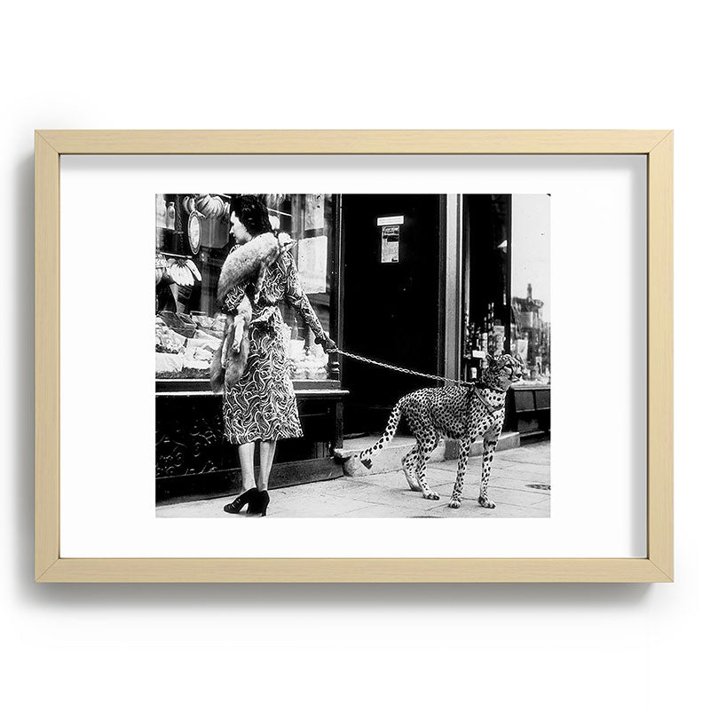Woman Walking Pet Cheetah in London, 1939 Framed Art Print Gallery Image 71