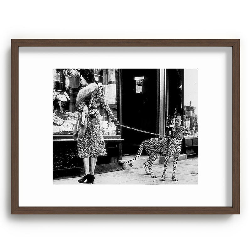 Woman Walking Pet Cheetah in London, 1939 Framed Art Print Gallery Image 66