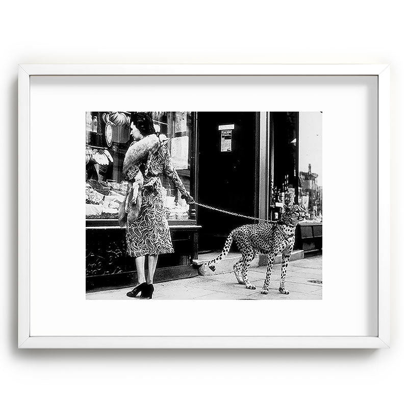 Woman Walking Pet Cheetah in London, 1939 Framed Art Print Gallery Image 78
