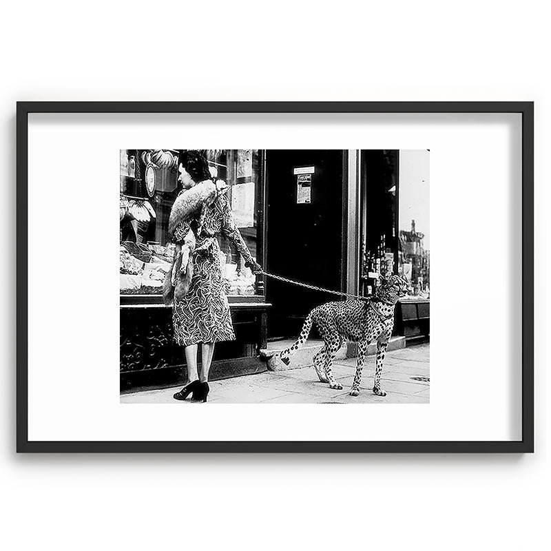 Woman Walking Pet Cheetah in London, 1939 Framed Art Print Gallery Image 62