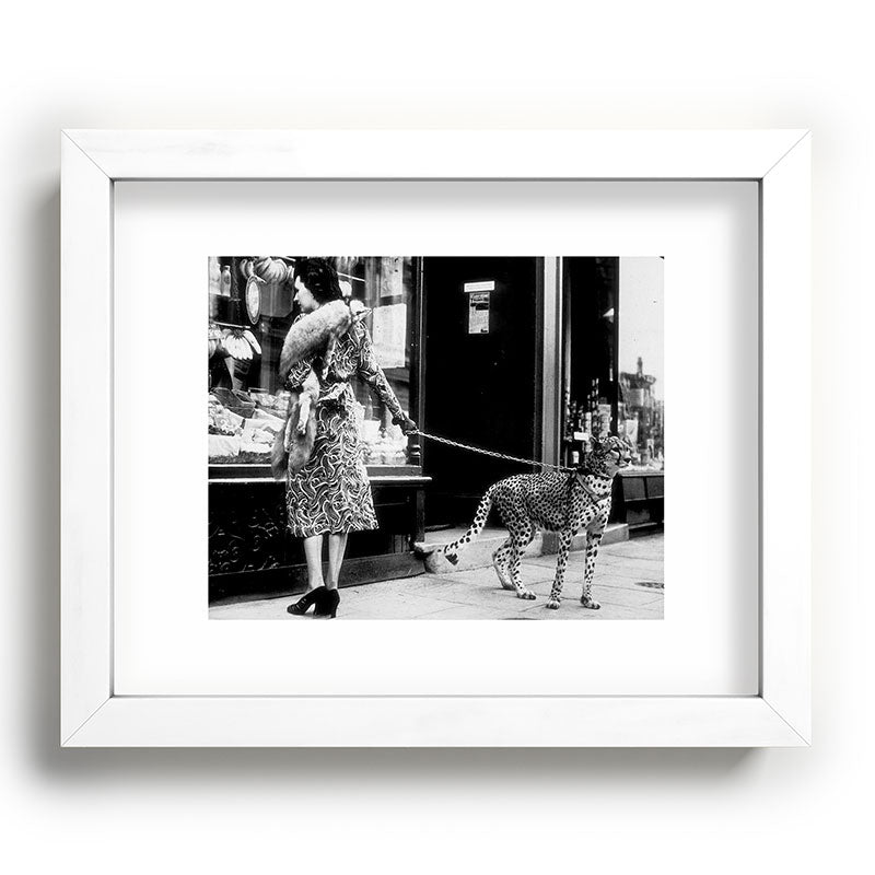 Woman Walking Pet Cheetah in London, 1939 Framed Art Print Gallery Image 75