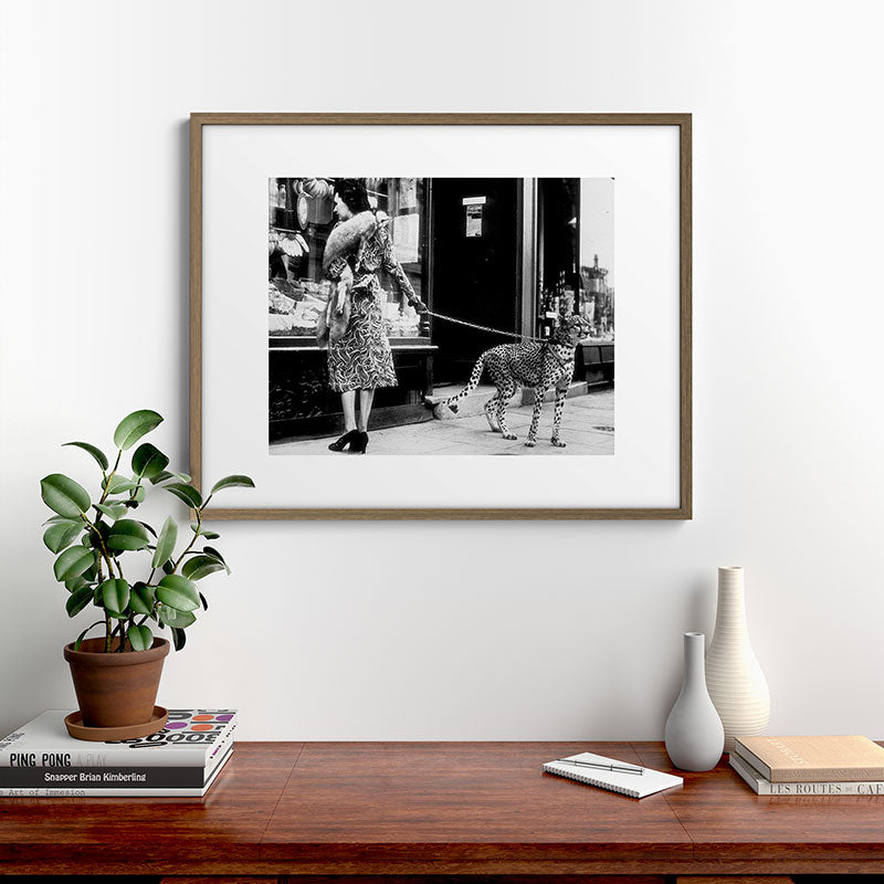 Woman Walking Pet Cheetah in London, 1939 Framed Art Print Gallery Image 14