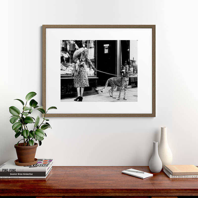 Woman Walking Pet Cheetah in London, 1939 Framed Art Print Gallery Image 42