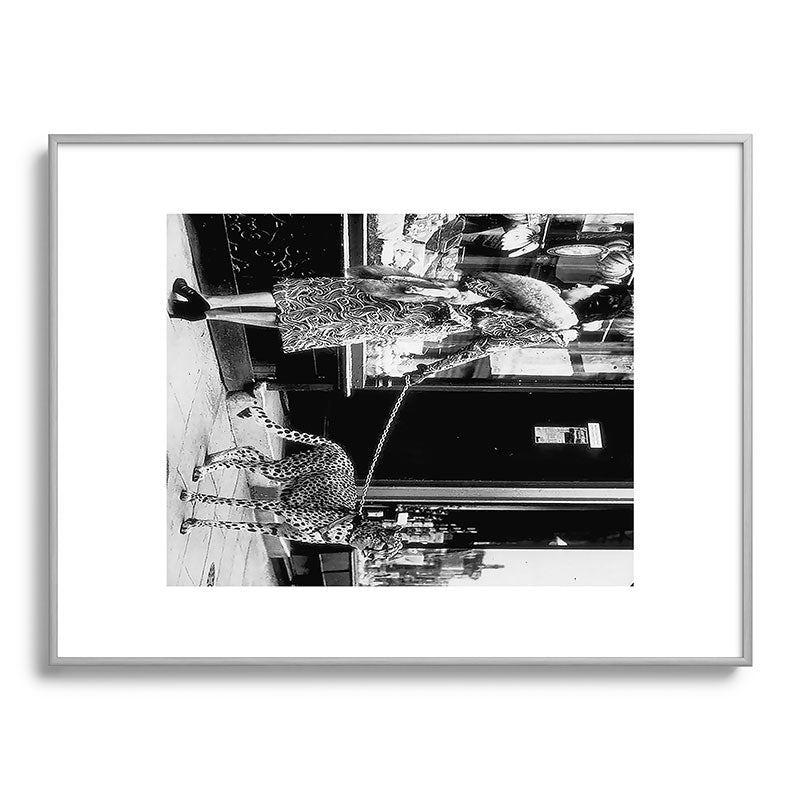 Woman Walking Pet Cheetah in London, 1939 Framed Art Print Gallery Image 99