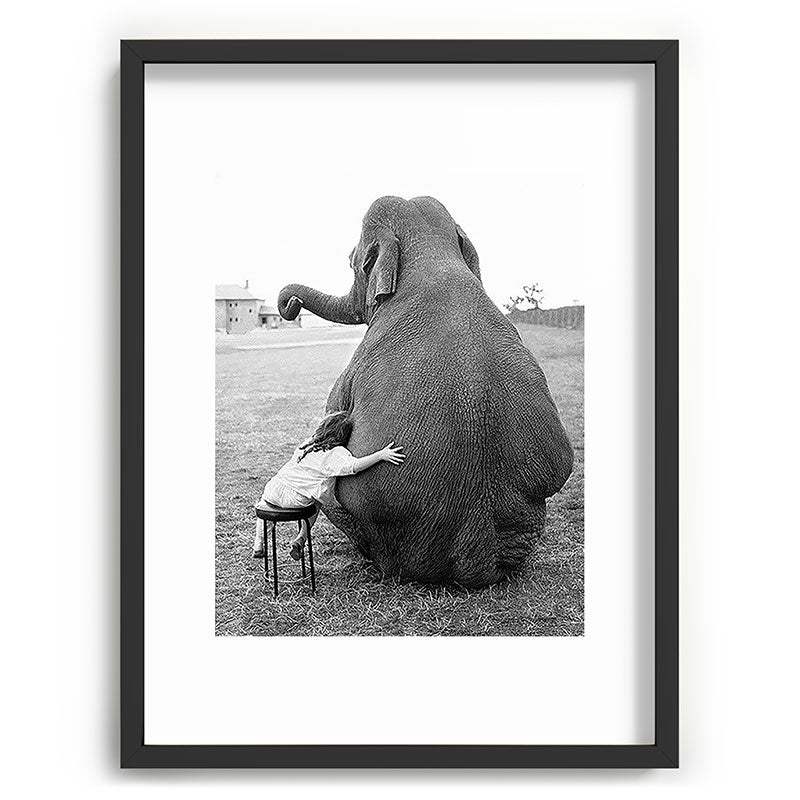 Odd Best Friends, Sweet Little Girl hugging elephant black and white photograph Framed Art Print Gallery Image 83