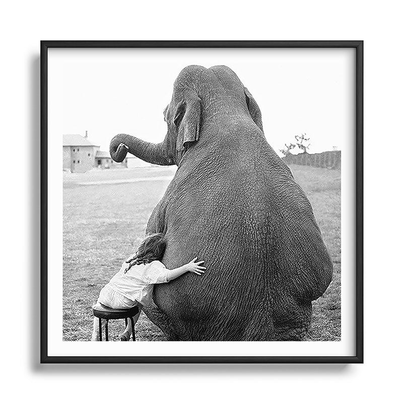 Odd Best Friends, Sweet Little Girl hugging elephant black and white photograph Framed Art Print Gallery Image 122