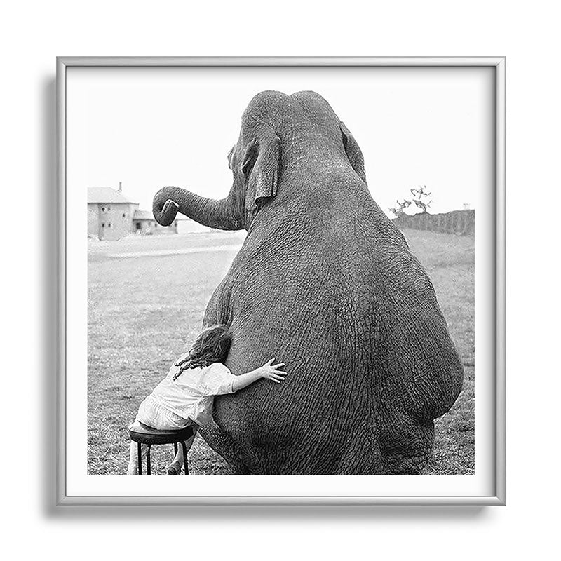 Odd Best Friends, Sweet Little Girl hugging elephant black and white photograph Framed Art Print Gallery Image 140