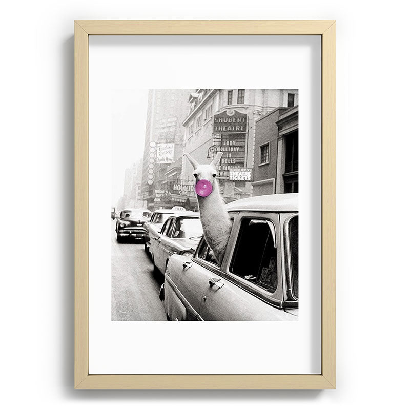 Perfect Pink Bubble Gum Llama taking a New York Taxi black and white photograph Framed Art Print Gallery Image 97