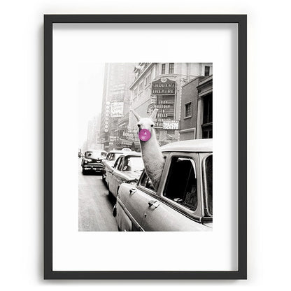 Perfect Pink Bubble Gum Llama taking a New York Taxi black and white photograph Framed Art Print Gallery Image 83