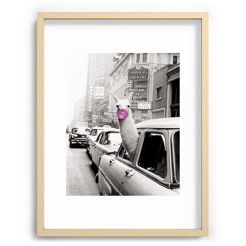 Perfect Pink Bubble Gum Llama taking a New York Taxi black and white photograph Framed Art Print Gallery Image 99