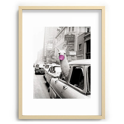 Perfect Pink Bubble Gum Llama taking a New York Taxi black and white photograph Framed Art Print Gallery Image 99