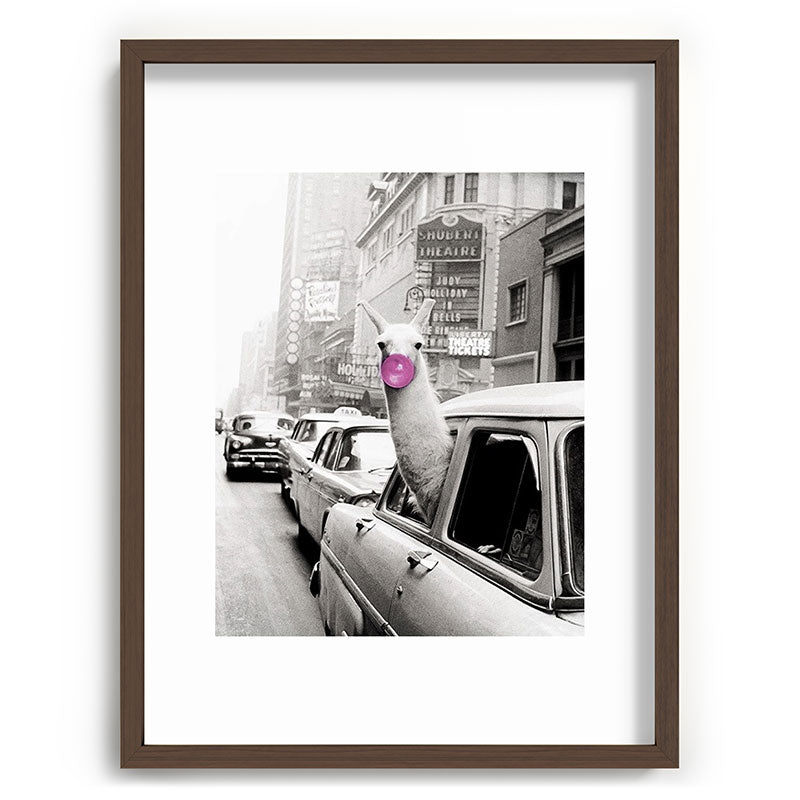Perfect Pink Bubble Gum Llama taking a New York Taxi black and white photograph Framed Art Print Gallery Image 91