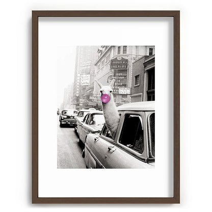 Perfect Pink Bubble Gum Llama taking a New York Taxi black and white photograph Framed Art Print Gallery Image 91