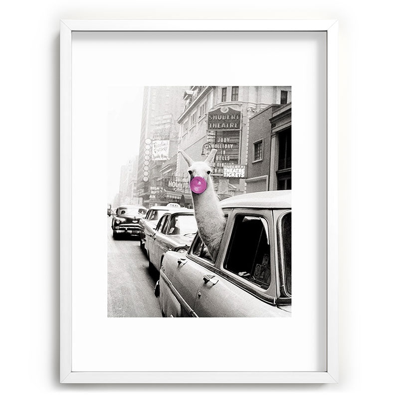 Perfect Pink Bubble Gum Llama taking a New York Taxi black and white photograph Framed Art Print Gallery Image 107
