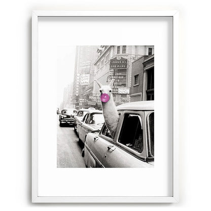 Perfect Pink Bubble Gum Llama taking a New York Taxi black and white photograph Framed Art Print Gallery Image 107