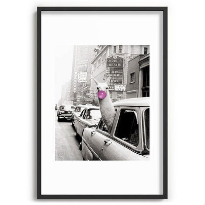 Perfect Pink Bubble Gum Llama taking a New York Taxi black and white photograph Framed Art Print Gallery Image 85