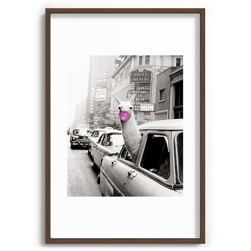 Perfect Pink Bubble Gum Llama taking a New York Taxi black and white photograph Framed Art Print Gallery Image 94