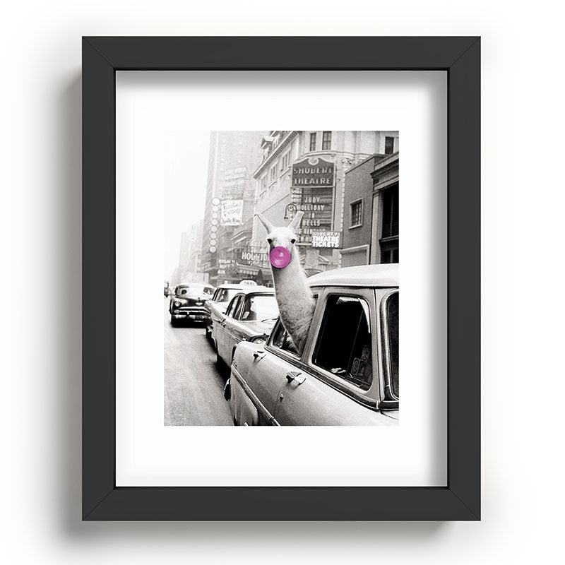 Perfect Pink Bubble Gum Llama taking a New York Taxi black and white photograph Framed Art Print Gallery Image 78