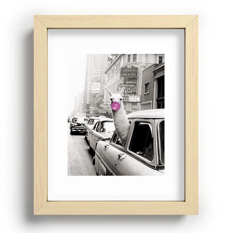 Perfect Pink Bubble Gum Llama taking a New York Taxi black and white photograph Framed Art Print Gallery Image 95