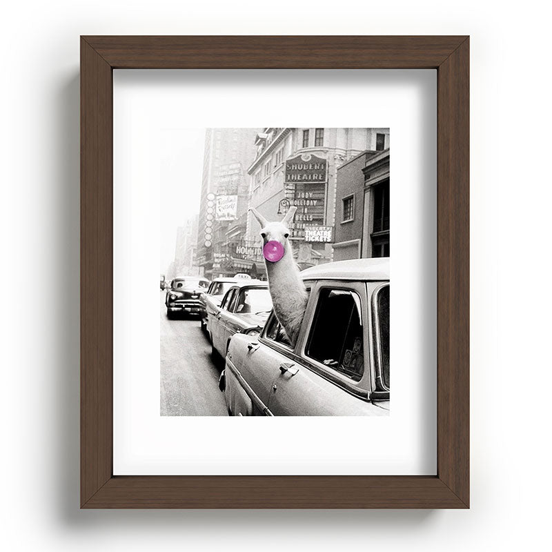 Perfect Pink Bubble Gum Llama taking a New York Taxi black and white photograph Framed Art Print Gallery Image 86
