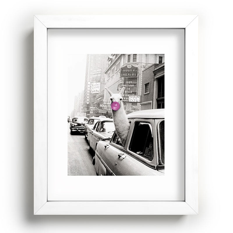 Perfect Pink Bubble Gum Llama taking a New York Taxi black and white photograph Framed Art Print Gallery Image 103