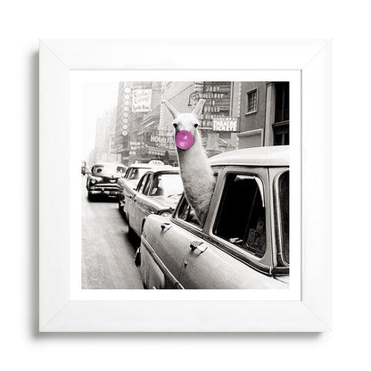 Perfect Pink Bubble Gum Llama taking a New York Taxi black and white photograph Framed Art Print Gallery Image 79