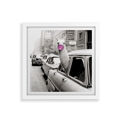 Perfect Pink Bubble Gum Llama taking a New York Taxi black and white photograph Framed Art Print Gallery Image 82