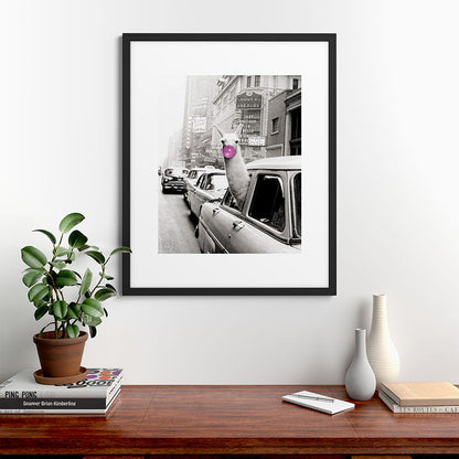 Perfect Pink Bubble Gum Llama taking a New York Taxi black and white photograph Framed Art Print Gallery Image 48
