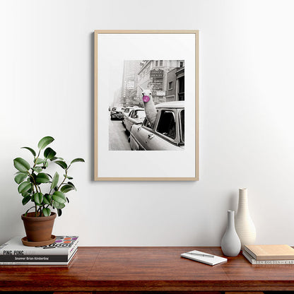 Perfect Pink Bubble Gum Llama taking a New York Taxi black and white photograph Framed Art Print Gallery Image 28