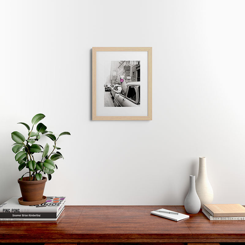 Perfect Pink Bubble Gum Llama taking a New York Taxi black and white photograph Framed Art Print Gallery Image 63