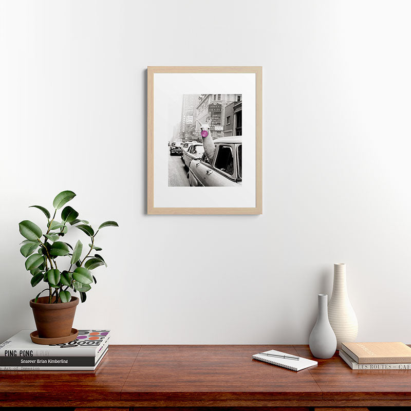 Perfect Pink Bubble Gum Llama taking a New York Taxi black and white photograph Framed Art Print Gallery Image 64