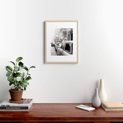Perfect Pink Bubble Gum Llama taking a New York Taxi black and white photograph Framed Art Print Gallery Image 26