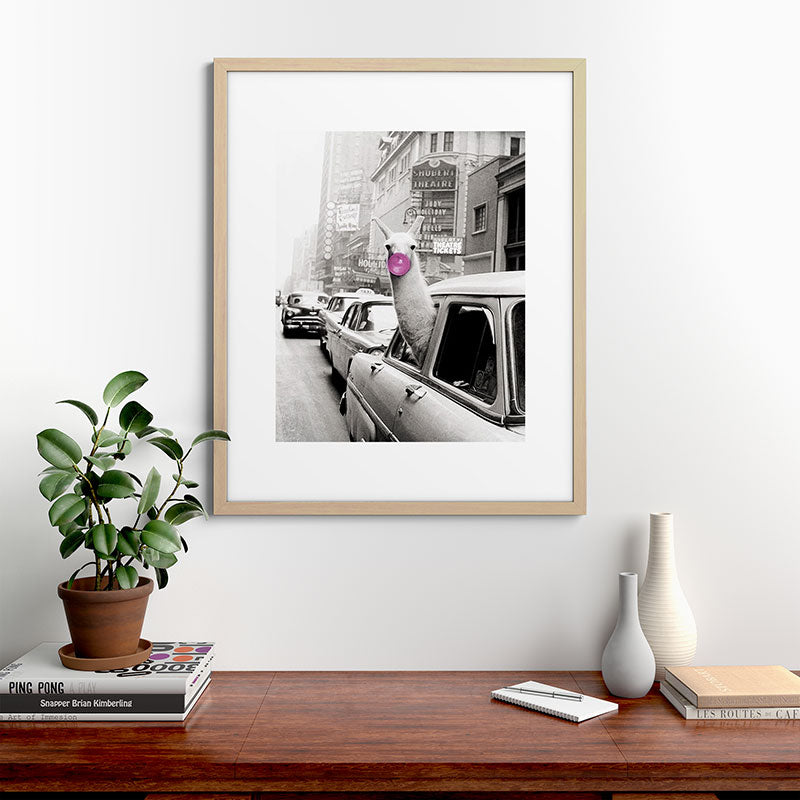 Perfect Pink Bubble Gum Llama taking a New York Taxi black and white photograph Framed Art Print Gallery Image 67