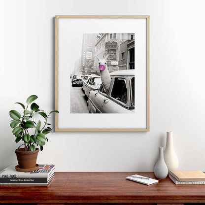 Perfect Pink Bubble Gum Llama taking a New York Taxi black and white photograph Framed Art Print Gallery Image 29