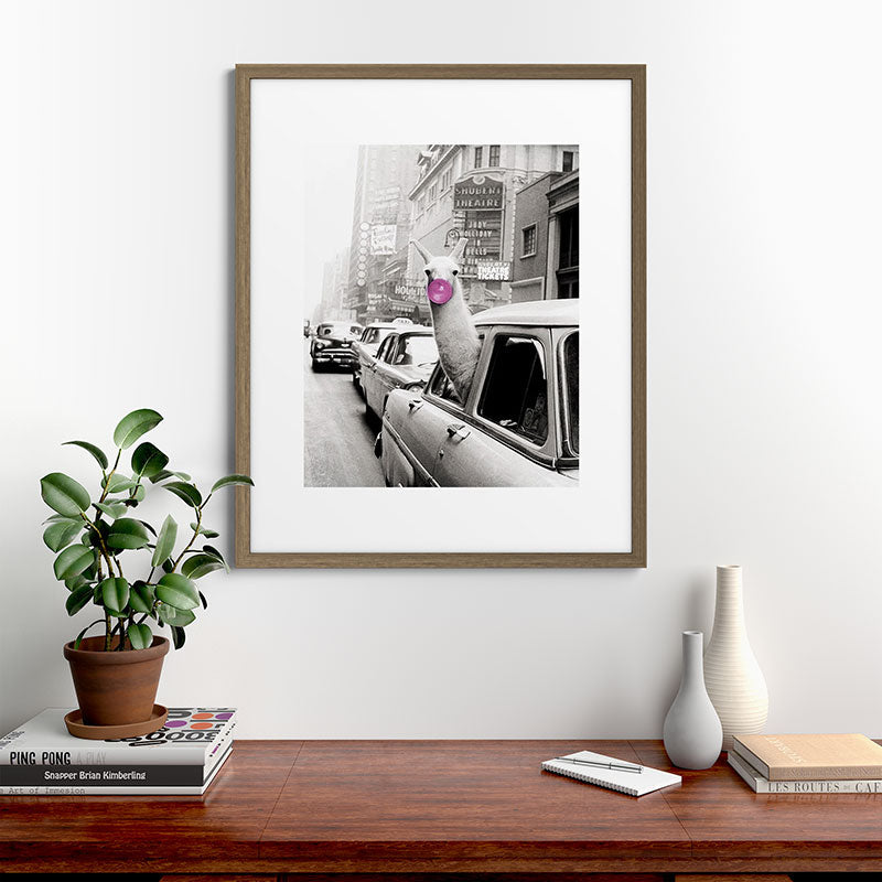 Perfect Pink Bubble Gum Llama taking a New York Taxi black and white photograph Framed Art Print Gallery Image 58