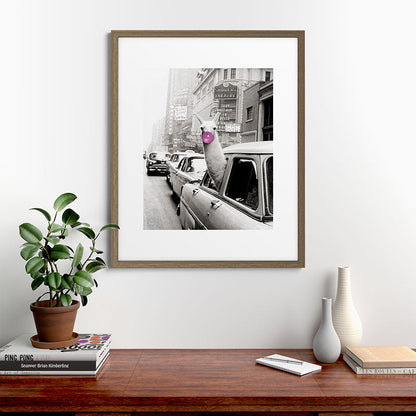 Perfect Pink Bubble Gum Llama taking a New York Taxi black and white photograph Framed Art Print Gallery Image 58