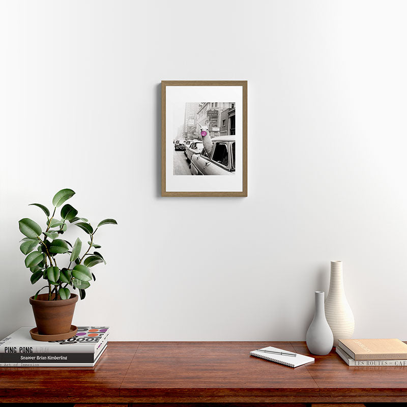 Perfect Pink Bubble Gum Llama taking a New York Taxi black and white photograph Framed Art Print Gallery Image 14